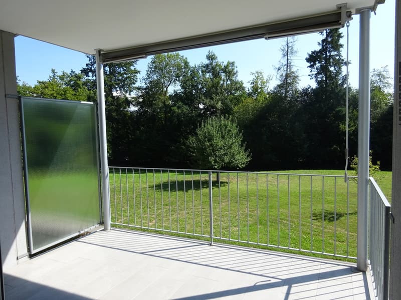 Elegante 4 1/2-Zimmerwohnung im Ostring (10)