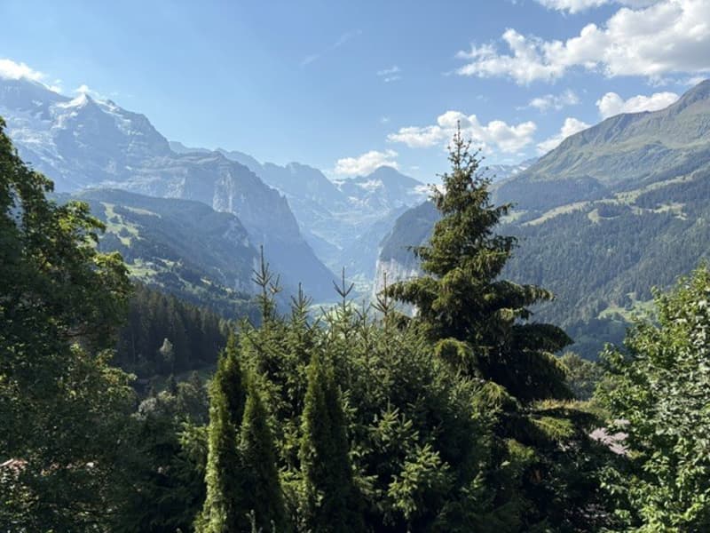Bergzauber an traumhafter Panoramalage in Wengen (3)