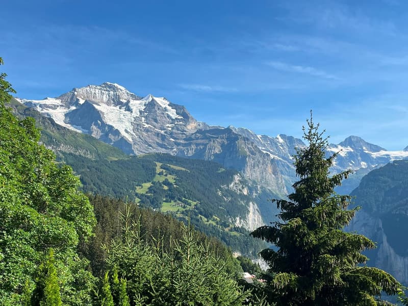 Bergzauber an traumhafter Panoramalage in Wengen (2)