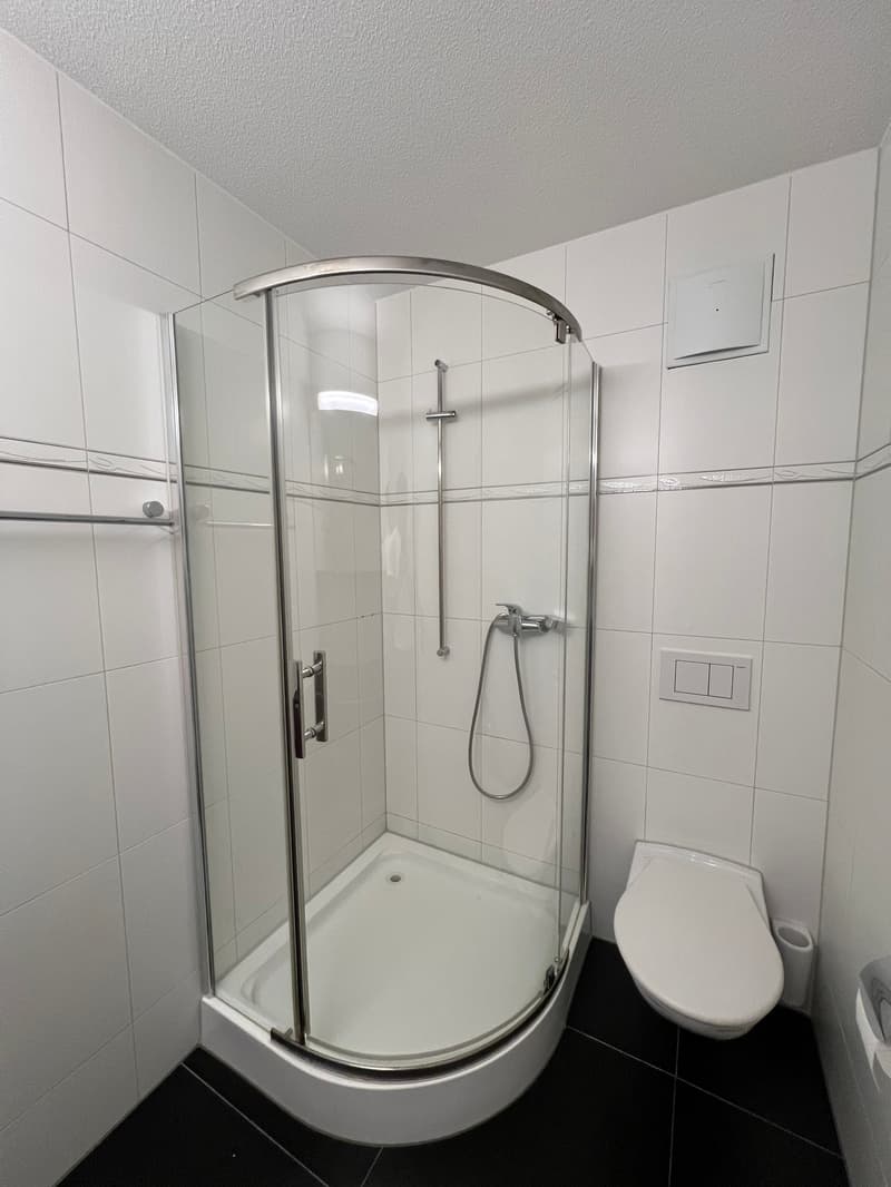 Moderne 3-Zimmer-Wohnung mit Garten und ESH Parkplatz in ruhiger Umgebung (8)