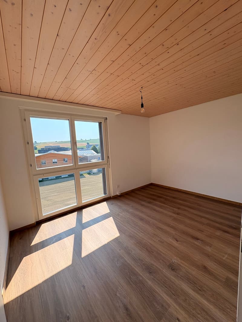 Wunderschöne preisgünstige Dachwohnung mit Cheminée, ruhig und doch zentral (22)