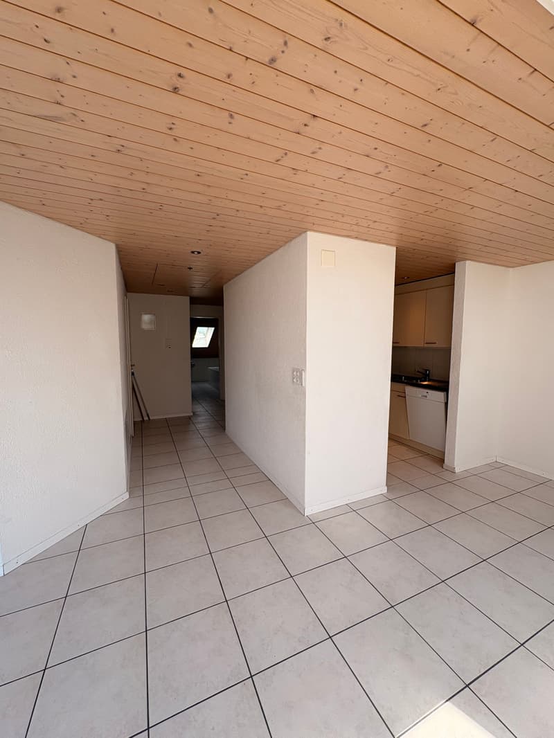 Wunderschöne preisgünstige Dachwohnung mit Cheminée, ruhig und doch zentral (12)