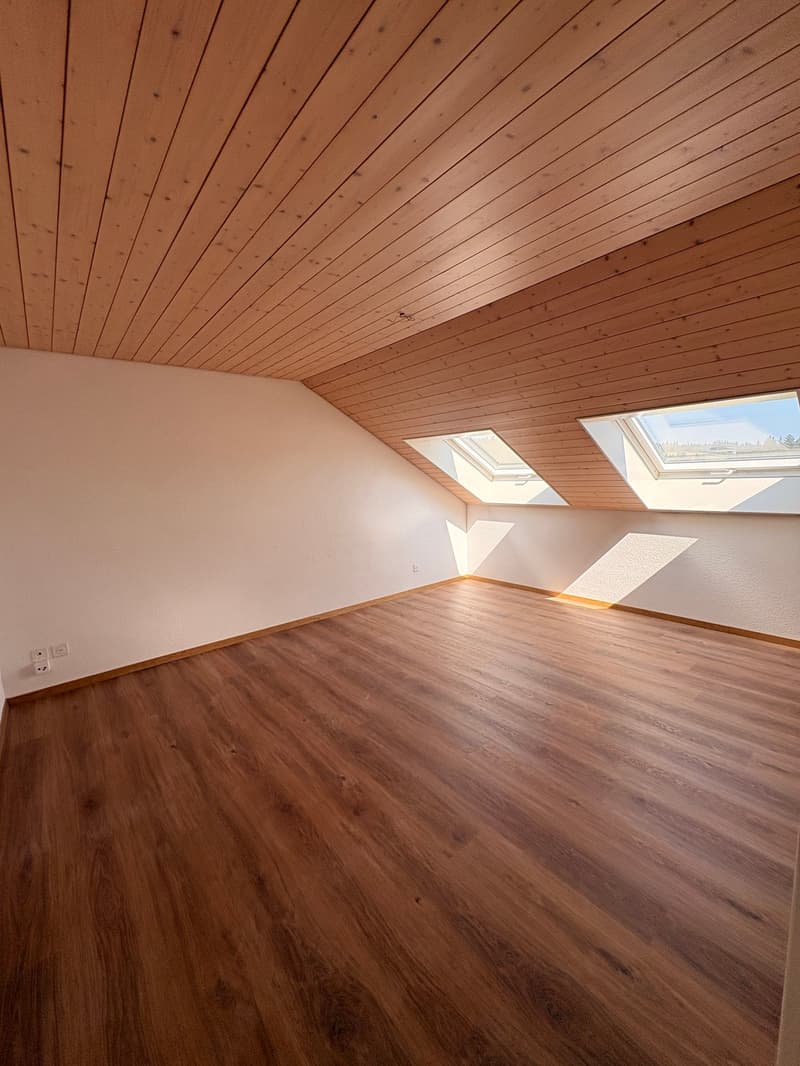 Wunderschöne preisgünstige Dachwohnung mit Cheminée, ruhig und doch zentral (16)