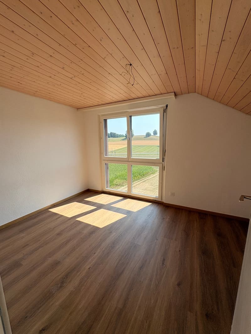 Wunderschöne preisgünstige Dachwohnung mit Cheminée, ruhig und doch zentral (13)