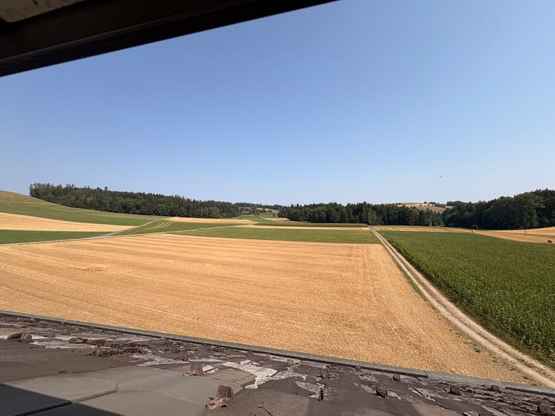 Aussicht