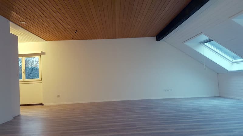 Helle 3.5-Zimmer-Wohnung in Rohrbach (10)