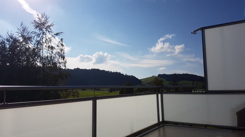 Helle 3.5-Zimmer-Wohnung in Rohrbach (11)