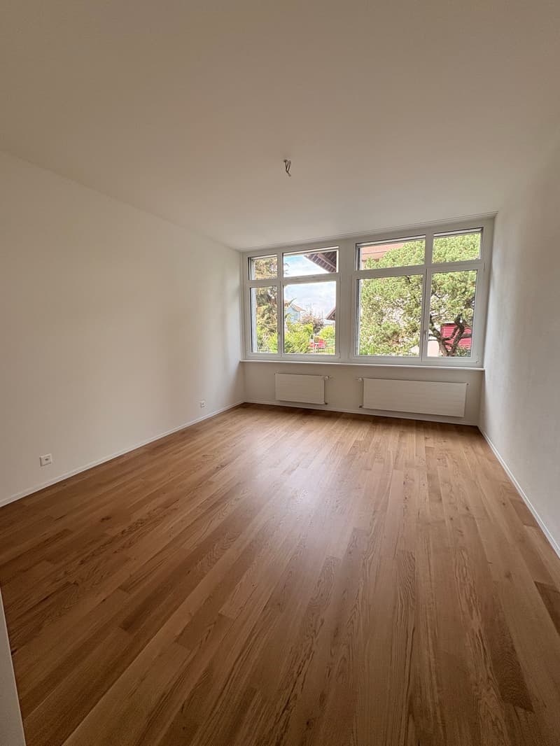 Moderne 4.5-Zimmer-Neubauwohnung in Madiswil – sofort verfügbar! (7)