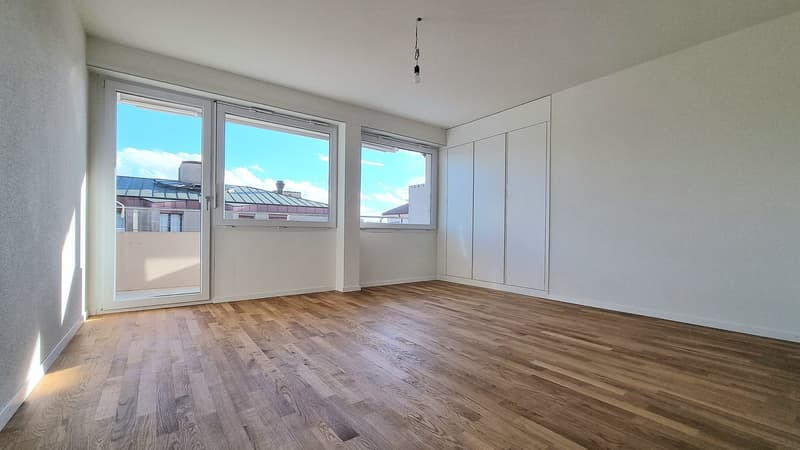 Appartamento moderno ristrutturato 3 locali con balcone (4)