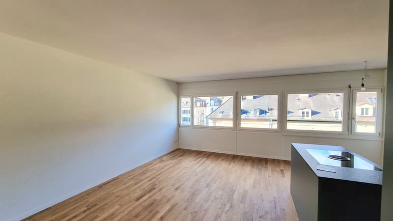 Appartamento moderno ristrutturato 3 locali con balcone (2)