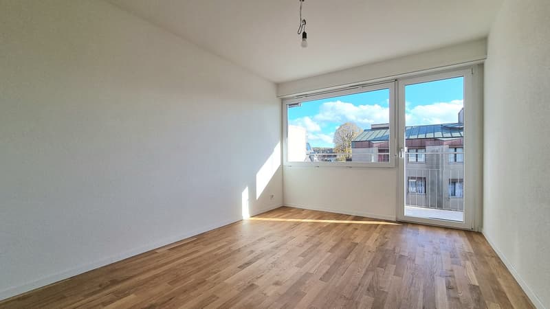 Appartamento moderno ristrutturato 3 locali con balcone (5)