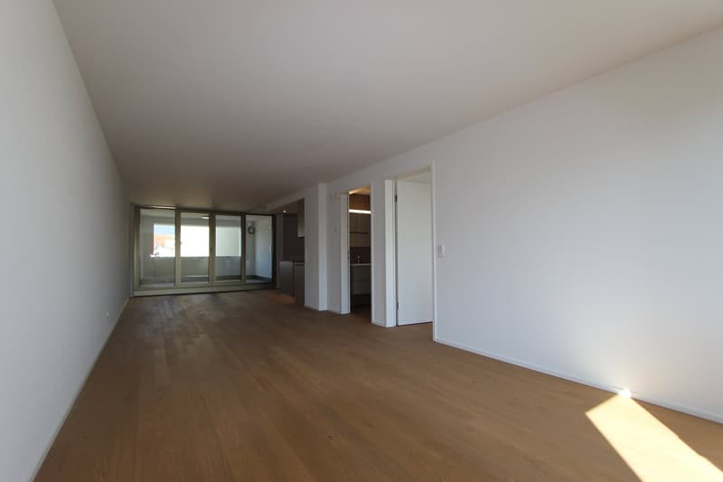 Modern 2.5-room apartment in the center (4)