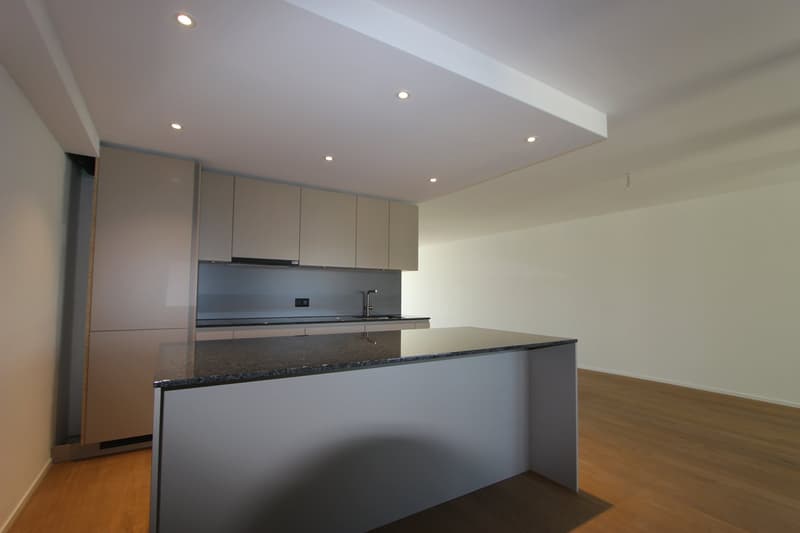 Modern 2.5-room apartment in the center (2)