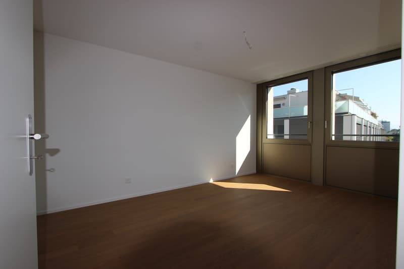 Modern 2.5-room apartment in the center (3)