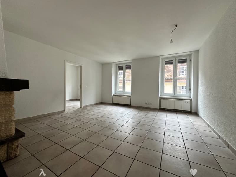 Schöne zentrale Wohnung (4)