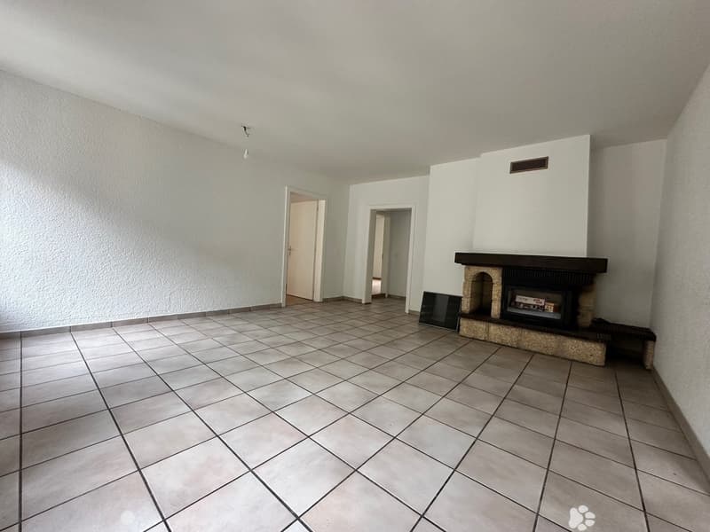 Schöne zentrale Wohnung (3)