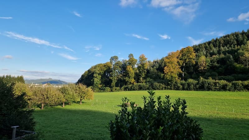 Sanierte 2.5-Zimmer-Wohnung mit schöner Aussicht (7)