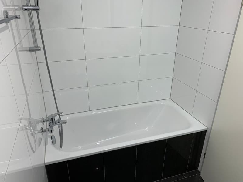 Sanierte 2.5-Zimmer-Wohnung mit schöner Aussicht (3)