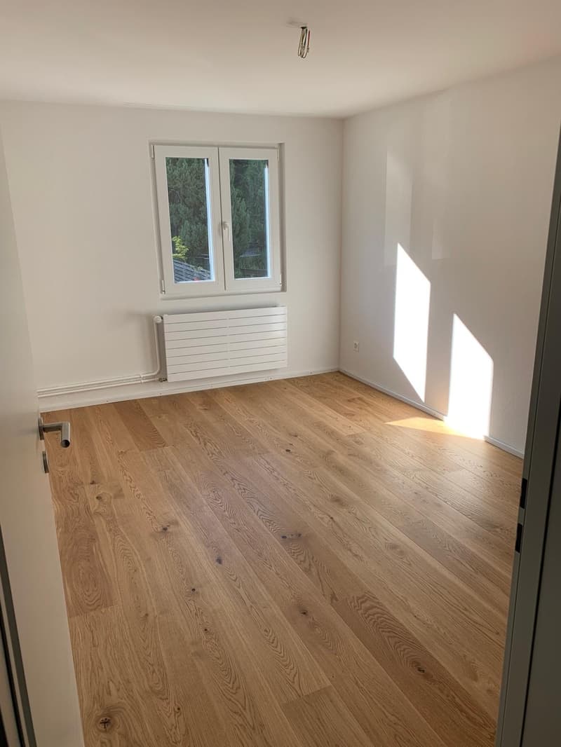 Sanierte 2.5-Zimmer-Wohnung mit schöner Aussicht (4)
