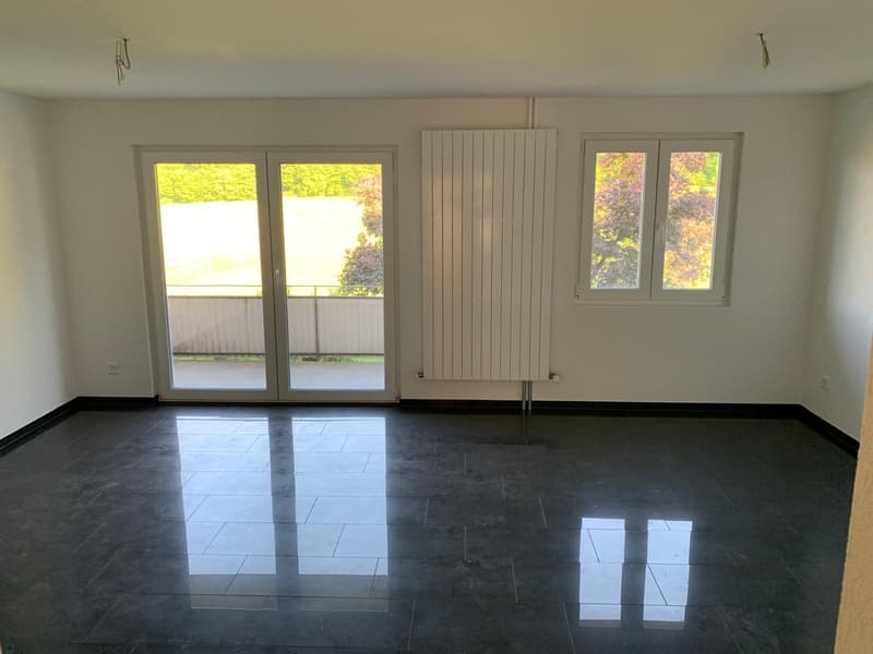 Sanierte 2.5-Zimmer-Wohnung mit schöner Aussicht (5)