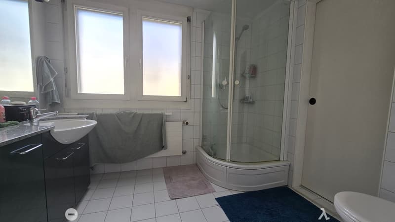 Badzimmer mit Dusche