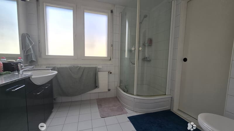 Badzimmer mit Dusche