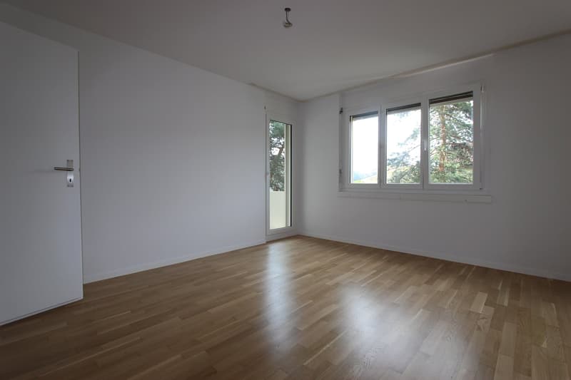 Frisch sanierte 4.5-Zimmer-Wohnung mit Balkon und Cheminée (10)
