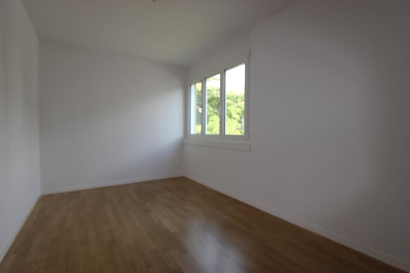 Frisch sanierte 4.5-Zimmer-Wohnung mit Balkon und Cheminée (12)