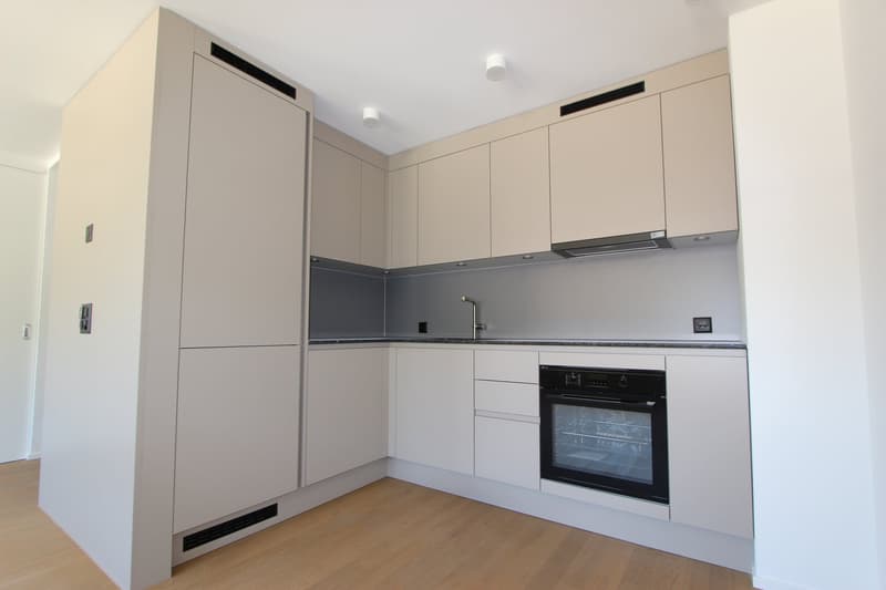 Frisch renovierte 2.5-Zimmer-Wohnung im Zentrum von Biel (4)