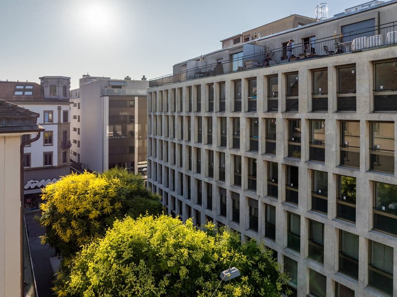 Frisch renovierte 2.5-Zimmer-Wohnung im Zentrum von Biel (1)
