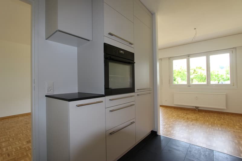 Frisch sanierte 4.5-Zimmer-Wohnung mit Balkon und Aussicht (3)