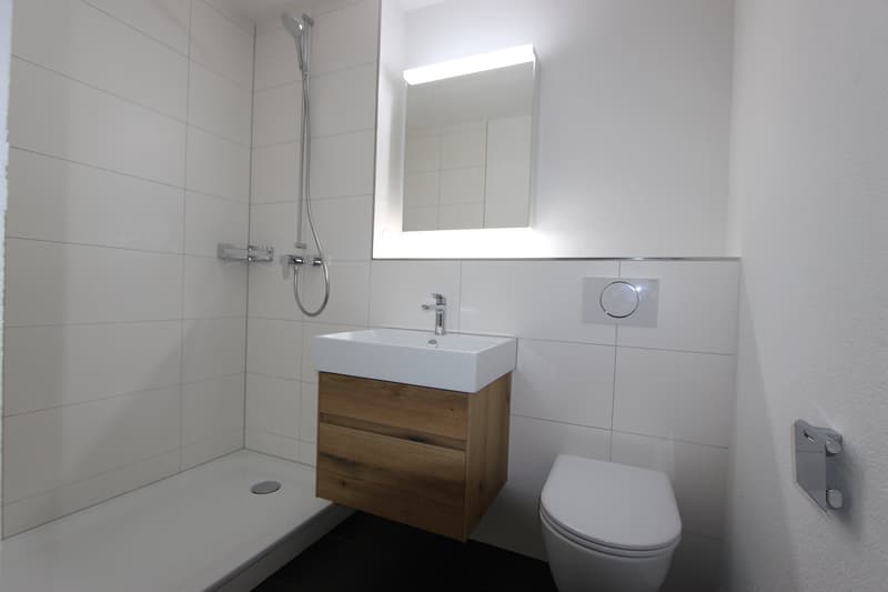 Frisch sanierte 4.5-Zimmer-Wohnung mit Balkon und Aussicht (7)
