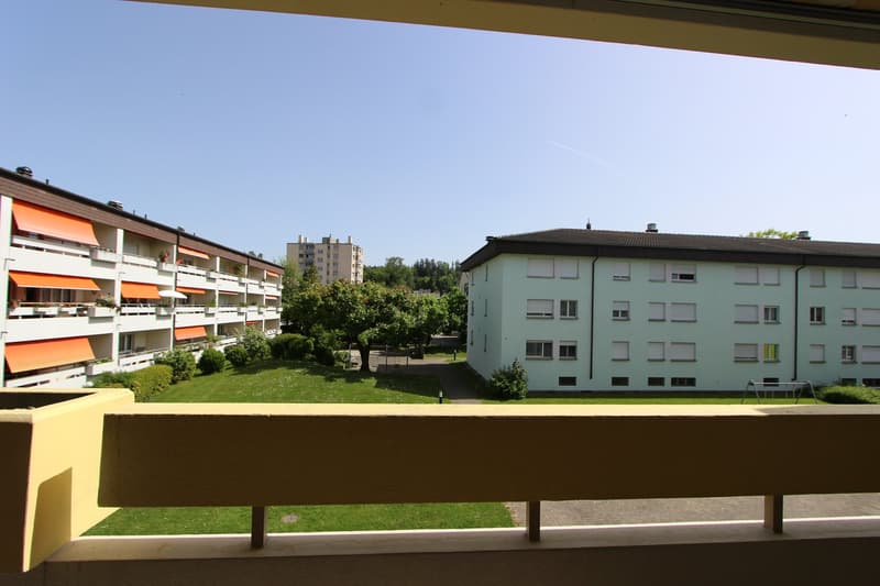 Frisch sanierte 4.5-Zimmer-Wohnung mit Balkon und Aussicht (13)