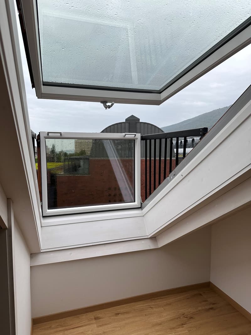 Super schöne Single-Dachwohnung mit privater Rooftop Terrasse (9)