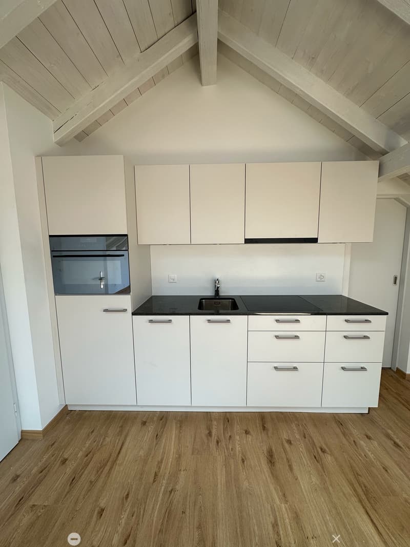 Super schöne Single-Dachwohnung mit privater Rooftop Terrasse (7)