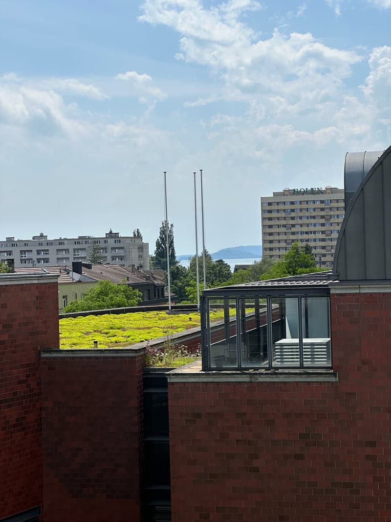 Super schöne Single-Dachwohnung mit privater Rooftop Terrasse (12)