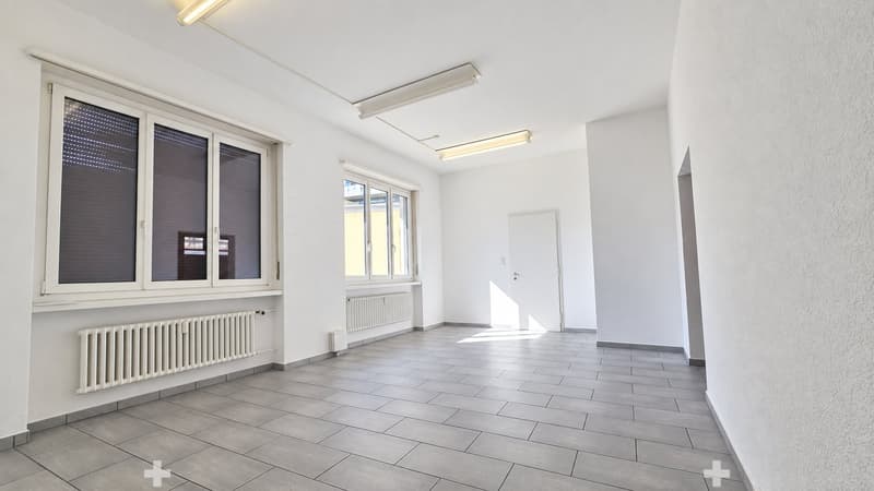 Hinterer Bereich, grosse Fläche