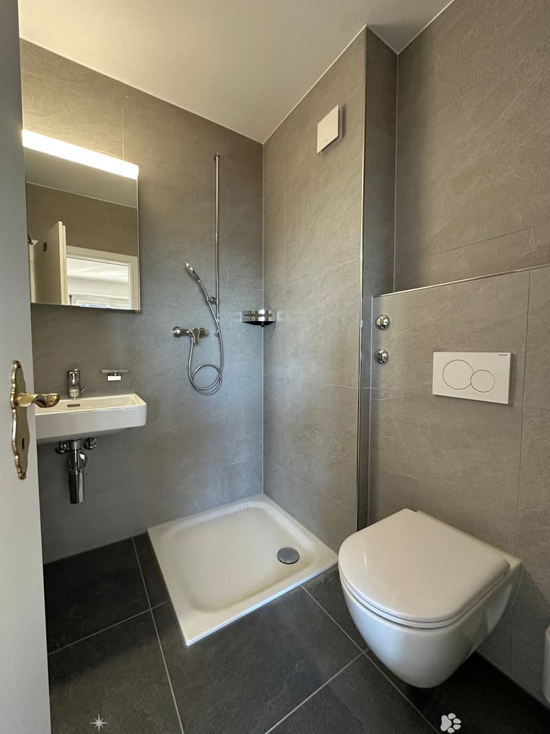 Charmante 5-Zimmer-Wohnung mit Panoramablick (4)