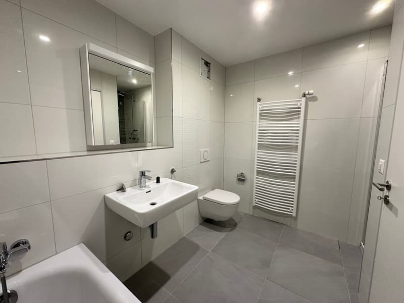 Sanierte 5.5-Zimmer-Wohnung mit grossem Garten (12)