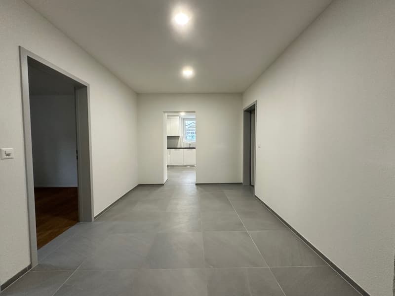 Sanierte 5.5-Zimmer-Wohnung mit grossem Garten (5)