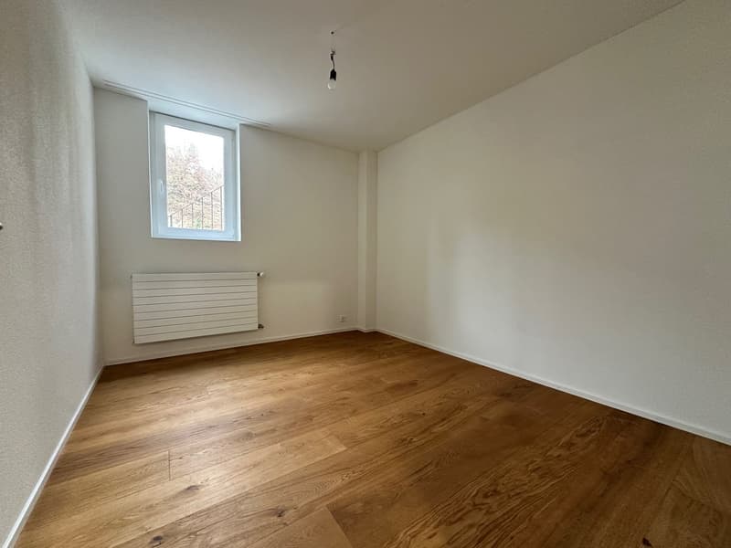Sanierte 5.5-Zimmer-Wohnung mit grossem Garten (9)
