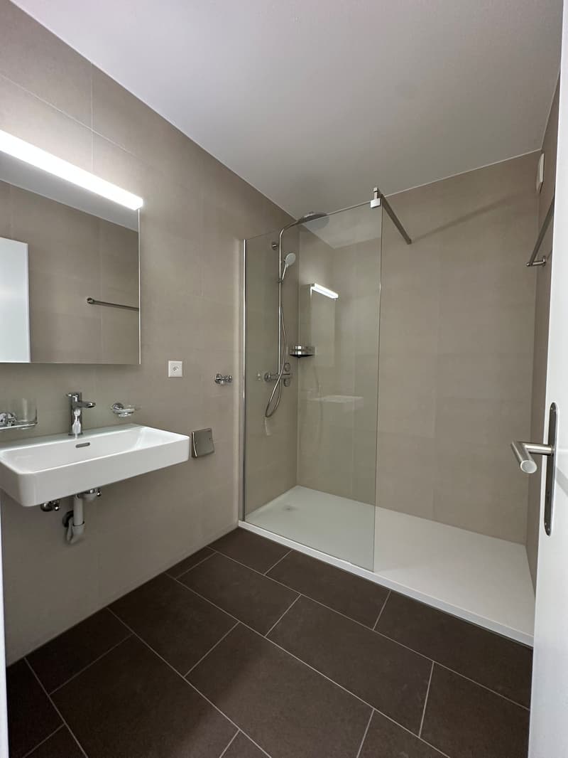 Sanierte helle 3.5-Zimmer-Wohnung mit Balkon und Seesicht (5)