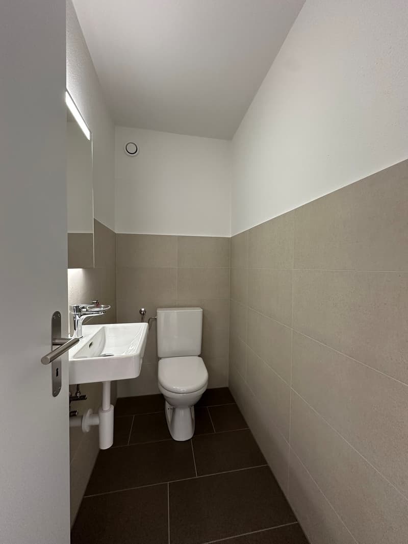 Sanierte helle 3.5-Zimmer-Wohnung mit Balkon und Seesicht (6)