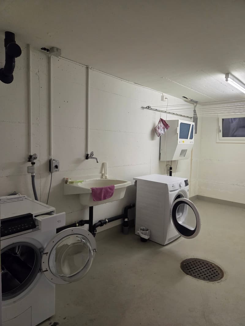 2.5-Zimmer-Wohnung mit traumhafter Seesicht in Krattigen (11)
