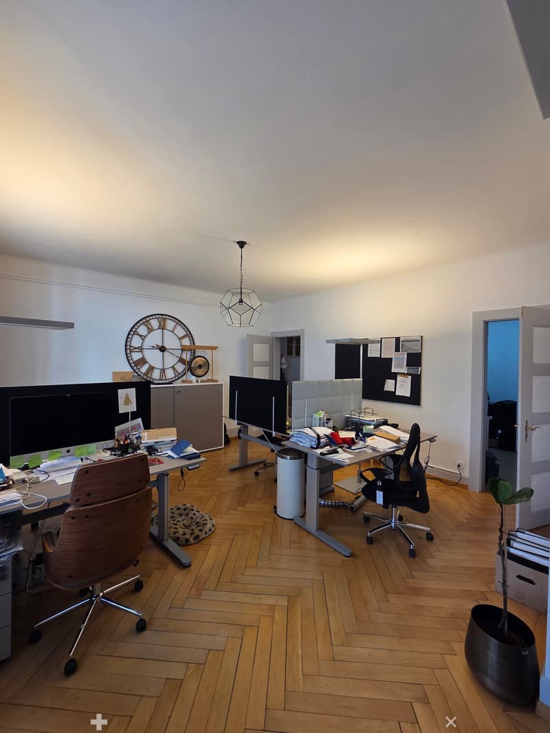 Stilvolle 5-Zimmerwohnung mit Altbaucharme im Herzen von Interlaken (7)