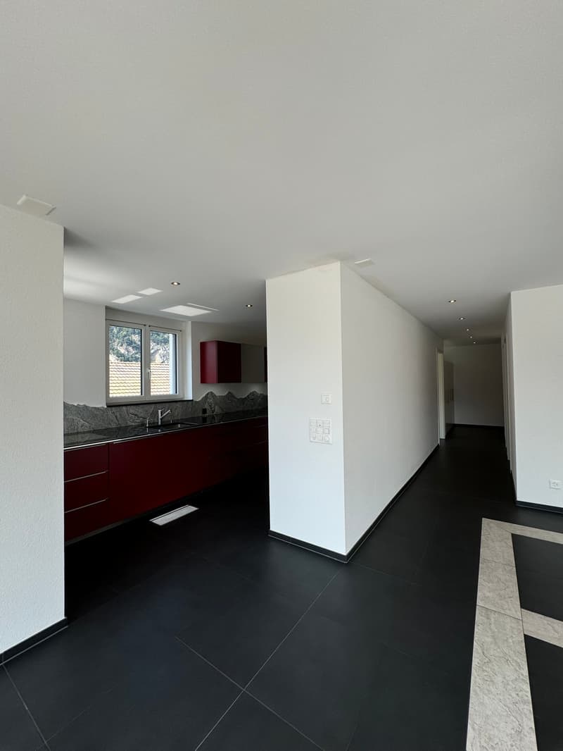 Hochwertige Attika-Wohnung zu vermieten (9)