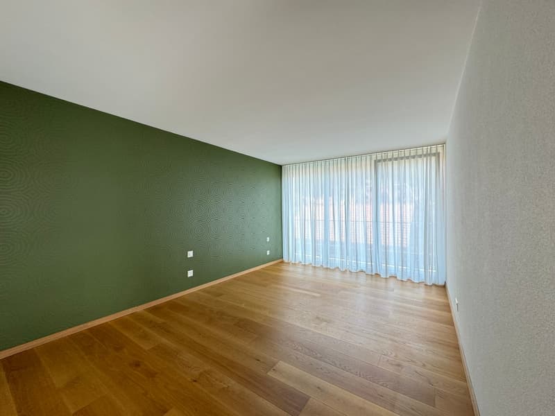 Hochwertige Attika-Wohnung zu vermieten (19)