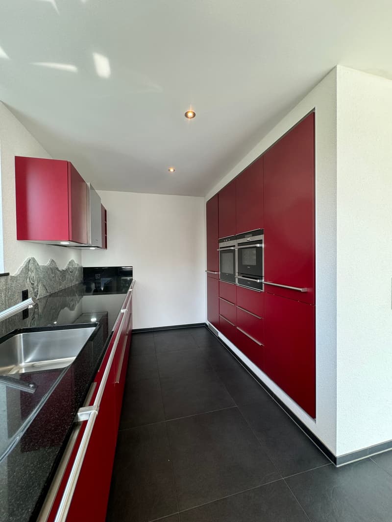 Hochwertige Attika-Wohnung zu vermieten (10)