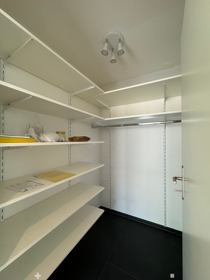 Hochwertige Attika-Wohnung zu vermieten (6)