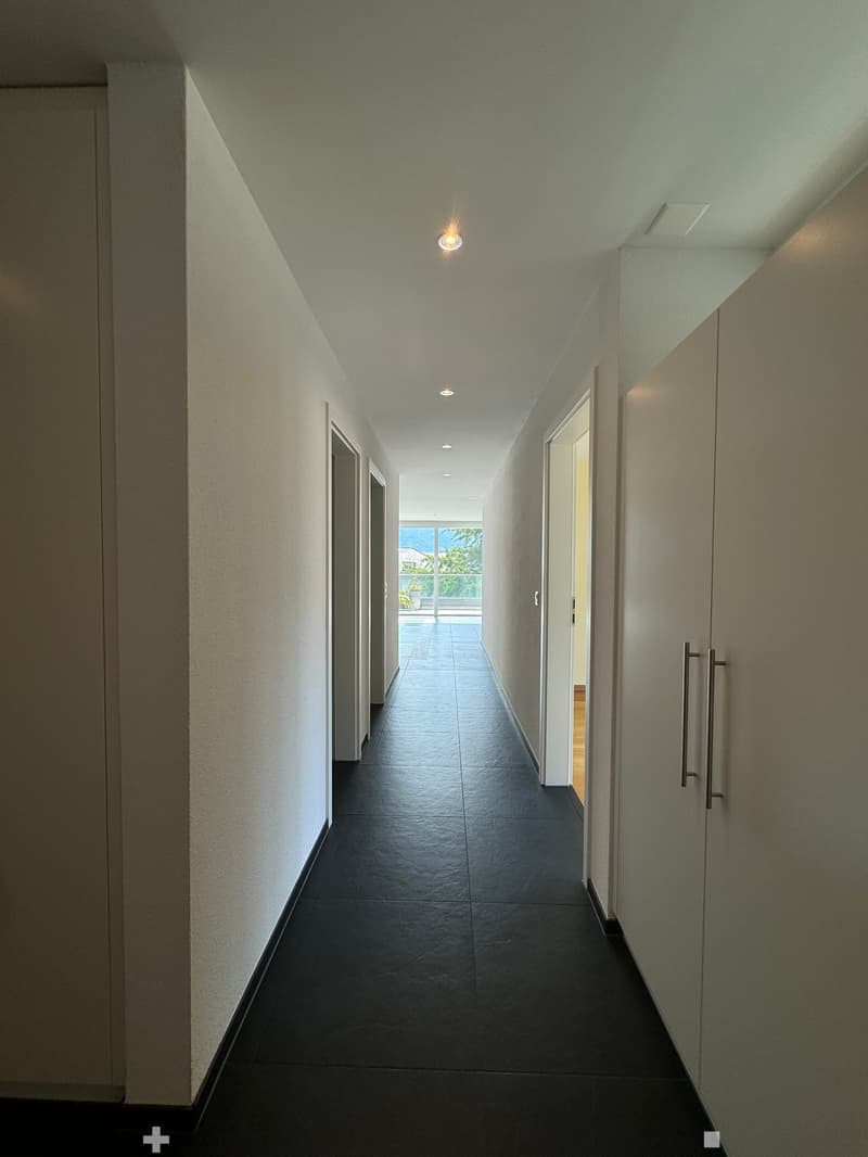 Hochwertige Attika-Wohnung zu vermieten (5)